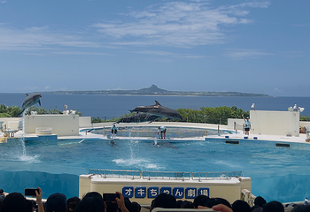 冲绳美丽海水族馆第 51 张图片