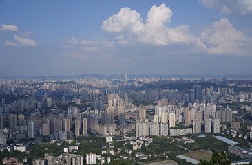 歌乐山国家森林公园第 20 张图片