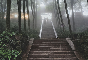 青城山第 468 张图片