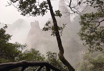 三清山风景区第 391 张图片