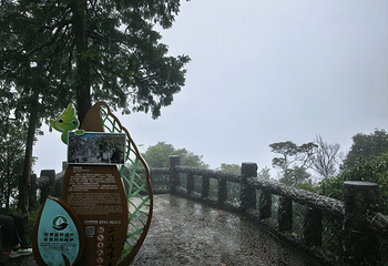 三清山风景区第 432 张图片