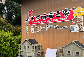 慕田峪长城第 425 张图片