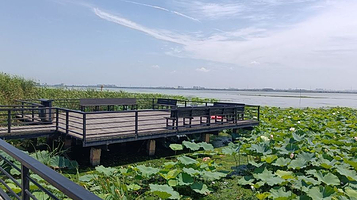 湖滨栈道