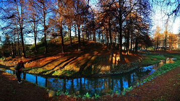 枕头山森林公园