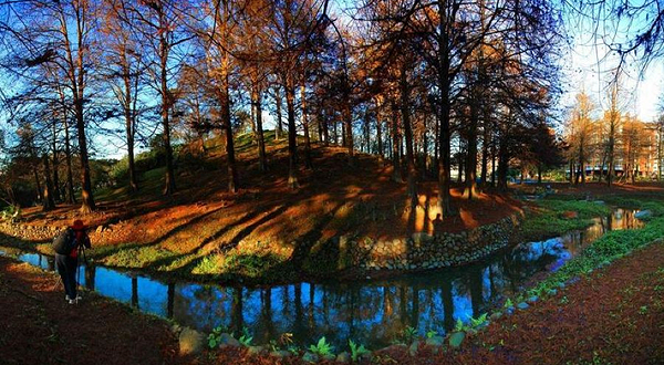 枕头山森林公园