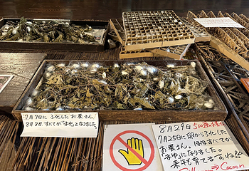 合掌村和田家第 17 张图片