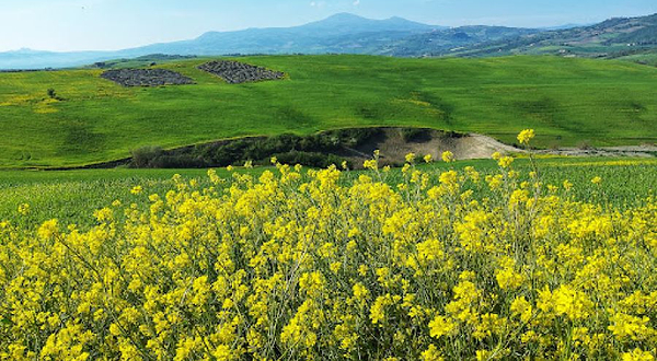 Val d'Orcia