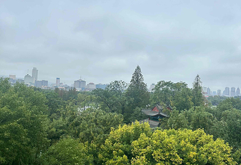 趵突泉景区第 259 张图片