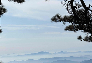黄山风景区第 264 张图片