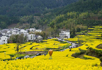 江岭景区第 69 张图片