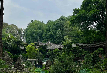 成都市人民公园第 19 张图片