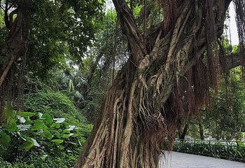 越秀公园第 283 张图片