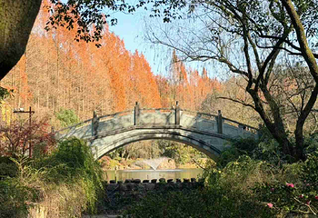 新昌大佛寺景区第 54 张图片