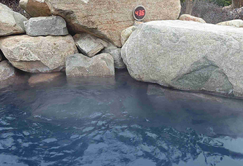 上海太阳岛森林温泉第 51 张图片