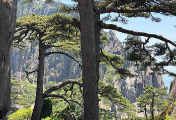 黄山风景区第 102 张图片