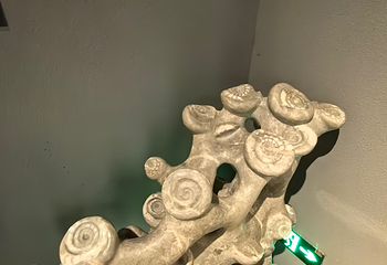 宜昌博物馆第 42 张图片
