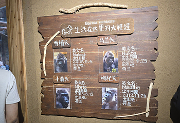 红山森林动物园第 341 张图片