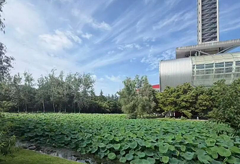 南京奥林匹克体育中心第 47 张图片