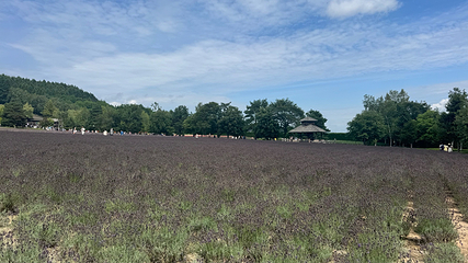富田农场第 27 张图片