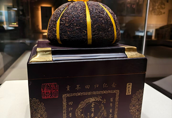 普洱市博物馆第 12 张图片
