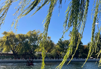 什刹海风景区第 199 张图片