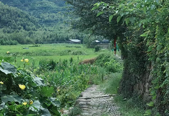 马岭古道第 41 张图片
