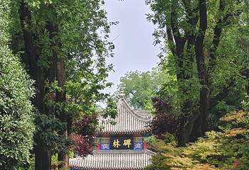 西安碑林博物馆第 143 张图片