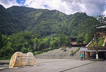 卧龙中华大熊猫苑神树坪基地第 80 张图片