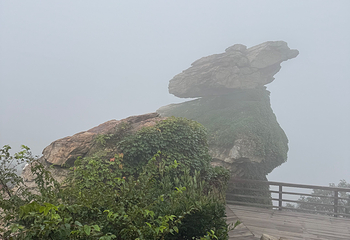 海上云台山第 77 张图片