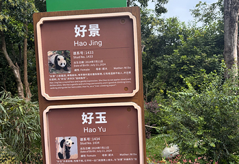 成都大熊猫繁育研究基地第 284 张图片