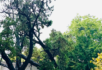 晋祠博物馆第 550 张图片