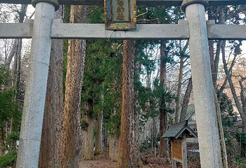 十和田神社第 11 张图片