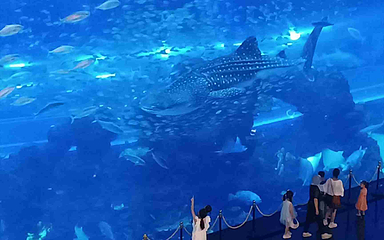海滨城浩海立方海洋公园第 53 张图片