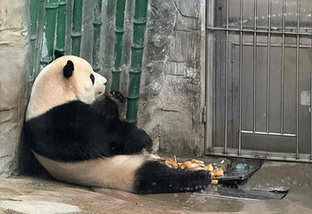 北京动物园第 63 张图片