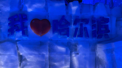 哈尔滨冰雪大世界第 1019 张图片