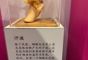 虫鸣大地第 77 张图片