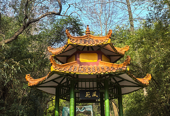 通天岩第 33 张图片