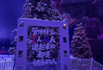 阿尔卑斯雪世界第 309 张图片