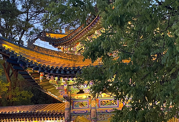 白塔山公园第 18 张图片