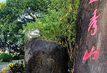 越秀公园第 221 张图片