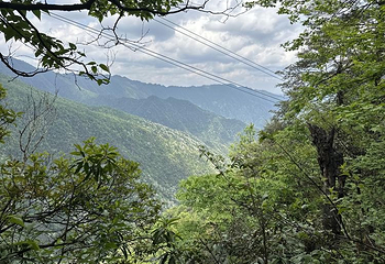 梵净山第 144 张图片
