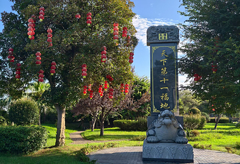君山岛景区第 23 张图片