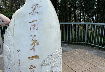 宜兴竹海风景区第 62 张图片