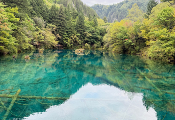 九寨沟风景区第 798 张图片