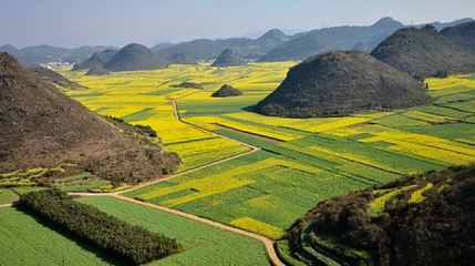 罗平县金鸡岭风景区第 1 张图片