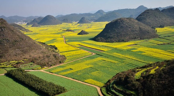 罗平县金鸡岭风景区