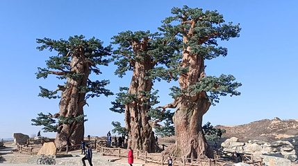杨家城遗址第 1 张图片
