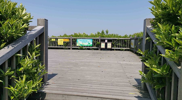 朱家尖大青山景区-观景平台