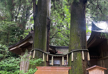 高千穗神社第 16 张图片
