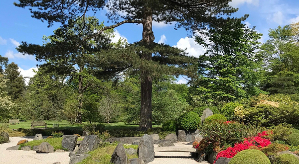Chokushi-Mon & Japanese Landscape - Kew Gardens